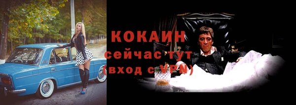 стаф Абаза