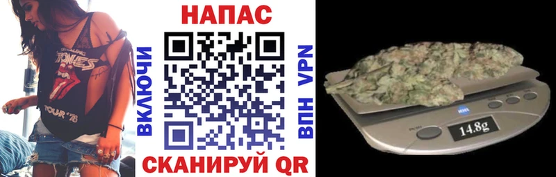 Канабис план  Ленинградская 